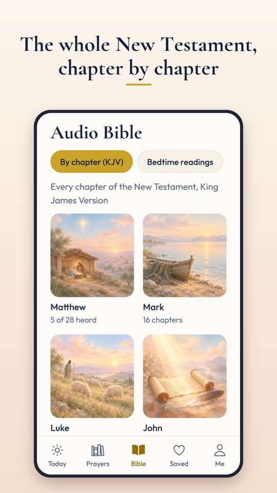 The New Testament chapter by chapter